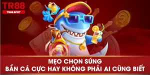 Mẹo Chọn Súng Bắn Cá Cực Hay Không Phải Ai Cũng Biết